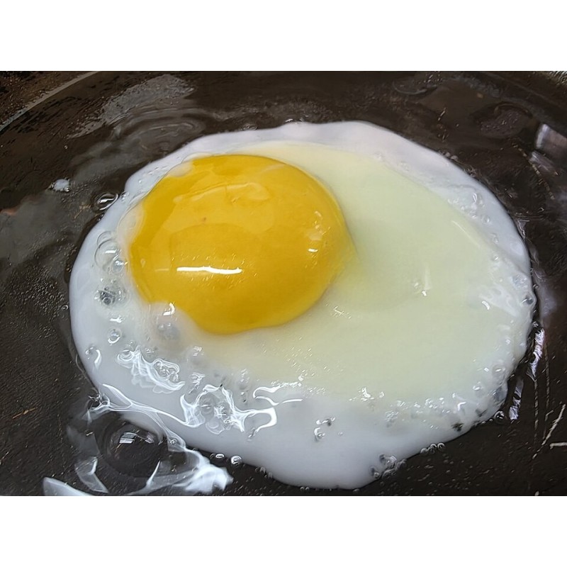 Œuf au plat