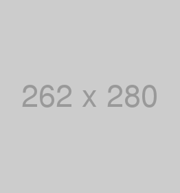 blog t